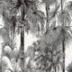 Palm Botanical Tropics Wallpaper By Thibaut