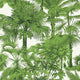 Palm Botanical Tropics Wallpaper By Thibaut