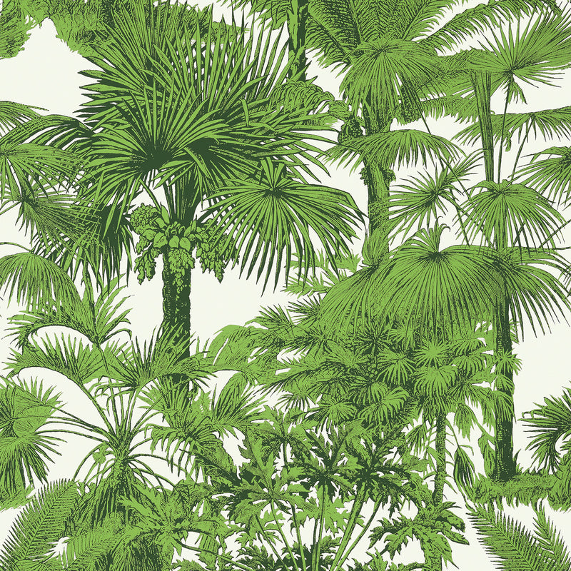 T10103 Palm Botanical Tropics Wallpaper By Thibaut