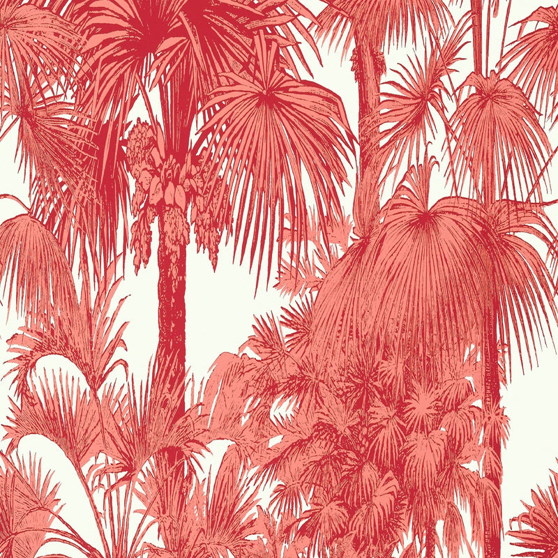 T10105 Palm Botanical Tropics Wallpaper By Thibaut