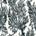 Marine Coral Tropics Wallpaper By Thibaut