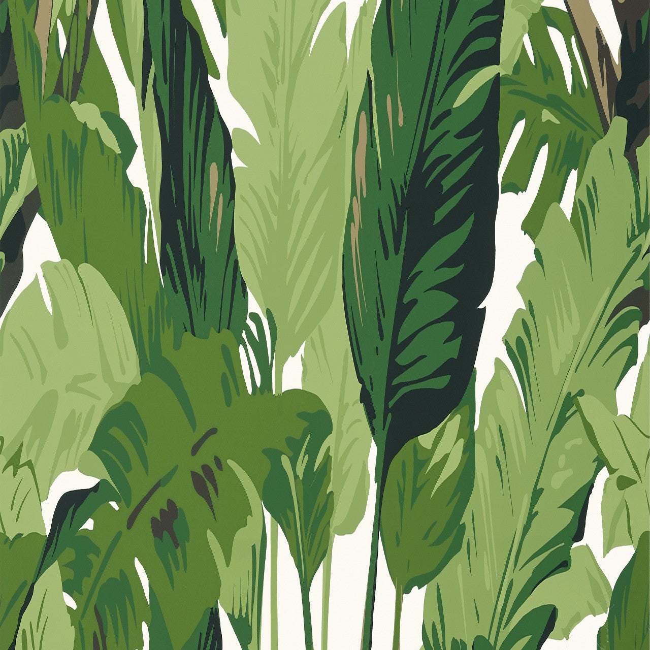 T10127 Travelers Palm Tropics Wallpaper By Thibaut