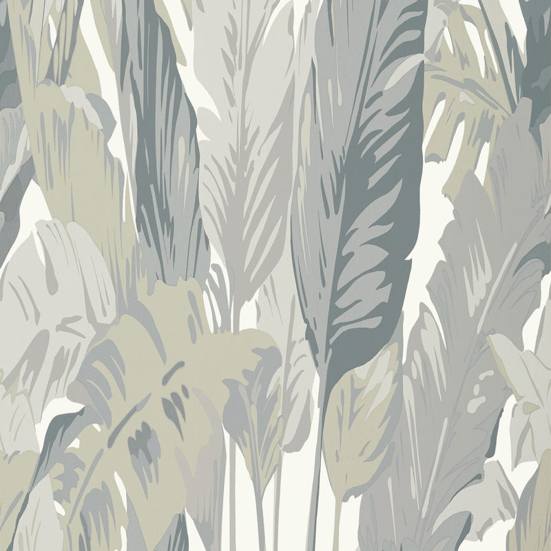 T10129 Travelers Palm Tropics Wallpaper By Thibaut