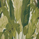 Travelers Palm Tropics Wallpaper By Thibaut