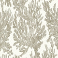 Marine Coral Tropics Wallpaper By Thibaut