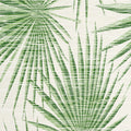 Palm Frond Tropics Wallpaper By Thibaut