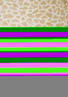 T10219 Makena Colony Wallpaper By Thibaut