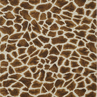 T10219 Makena Colony Wallpaper By Thibaut