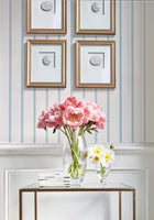 T10258 Notch Stripe Colony Wallpaper By Thibaut