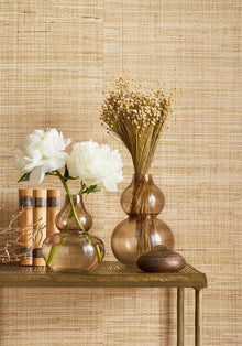T10300 Mackinac Natural Grasscloth Resource 7 Wallpaper by Thibaut