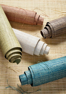 T10301 Mackinac White Grasscloth Resource 7 Wallpaper by Thibaut