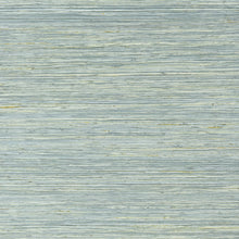 T10306 Maroma Seaglass Grasscloth Resource 7 Wallpaper by Thibaut