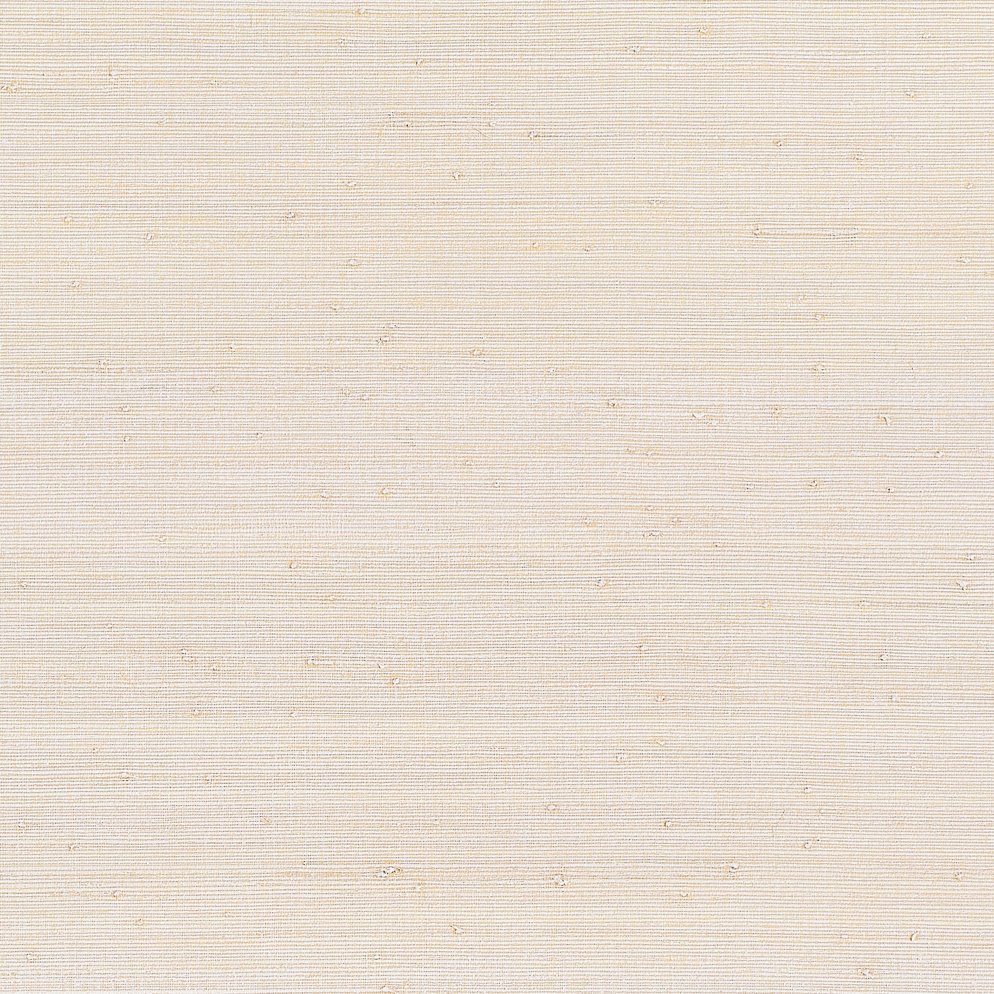 T10323 Montgomery Weave Off White Grasscloth Resource 7 Wallpaper by Thibaut