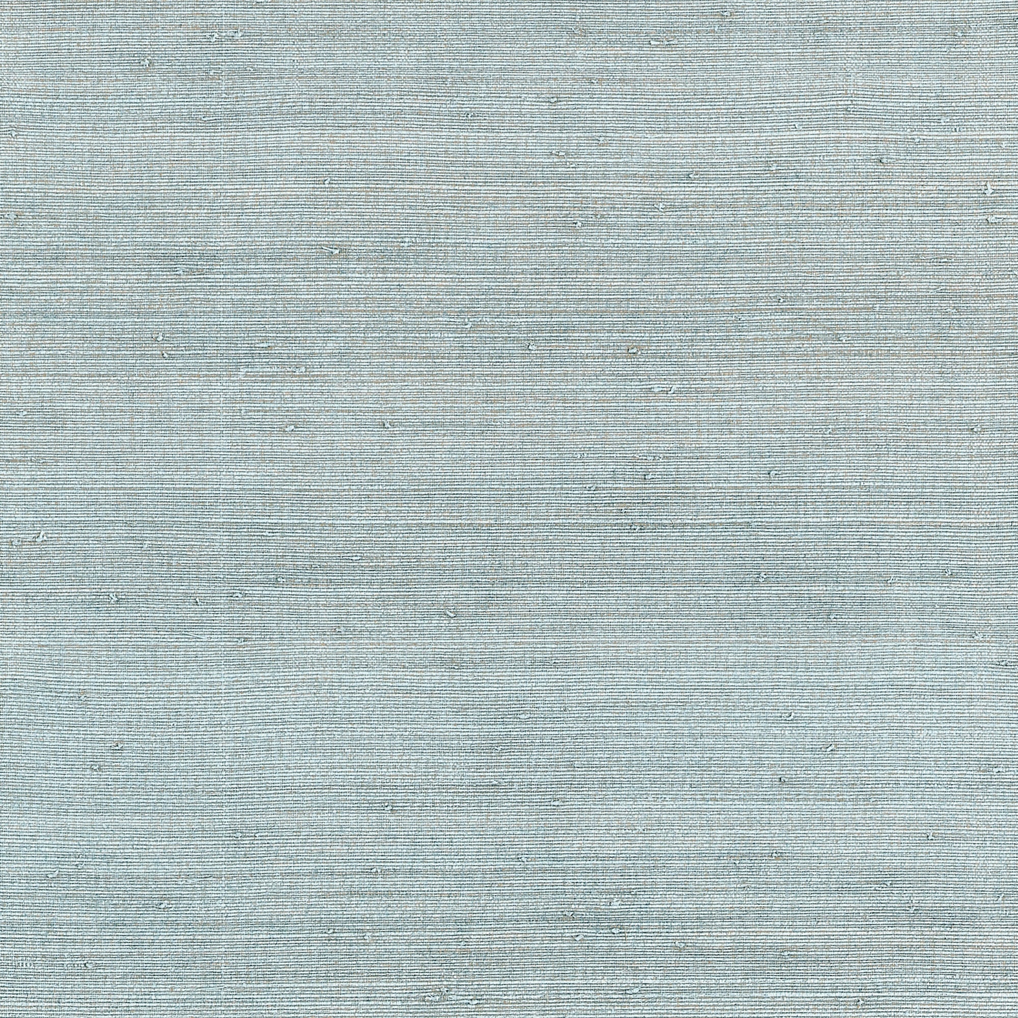 T10326 Montgomery Weave Spa Blue Grasscloth Resource 7 Wallpaper by Thibaut