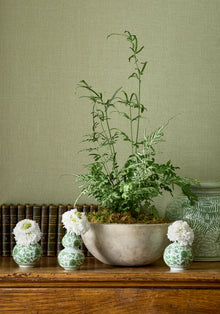 T10346 Hampton Apple Green Grasscloth Resource 7 Wallpaper by Thibaut