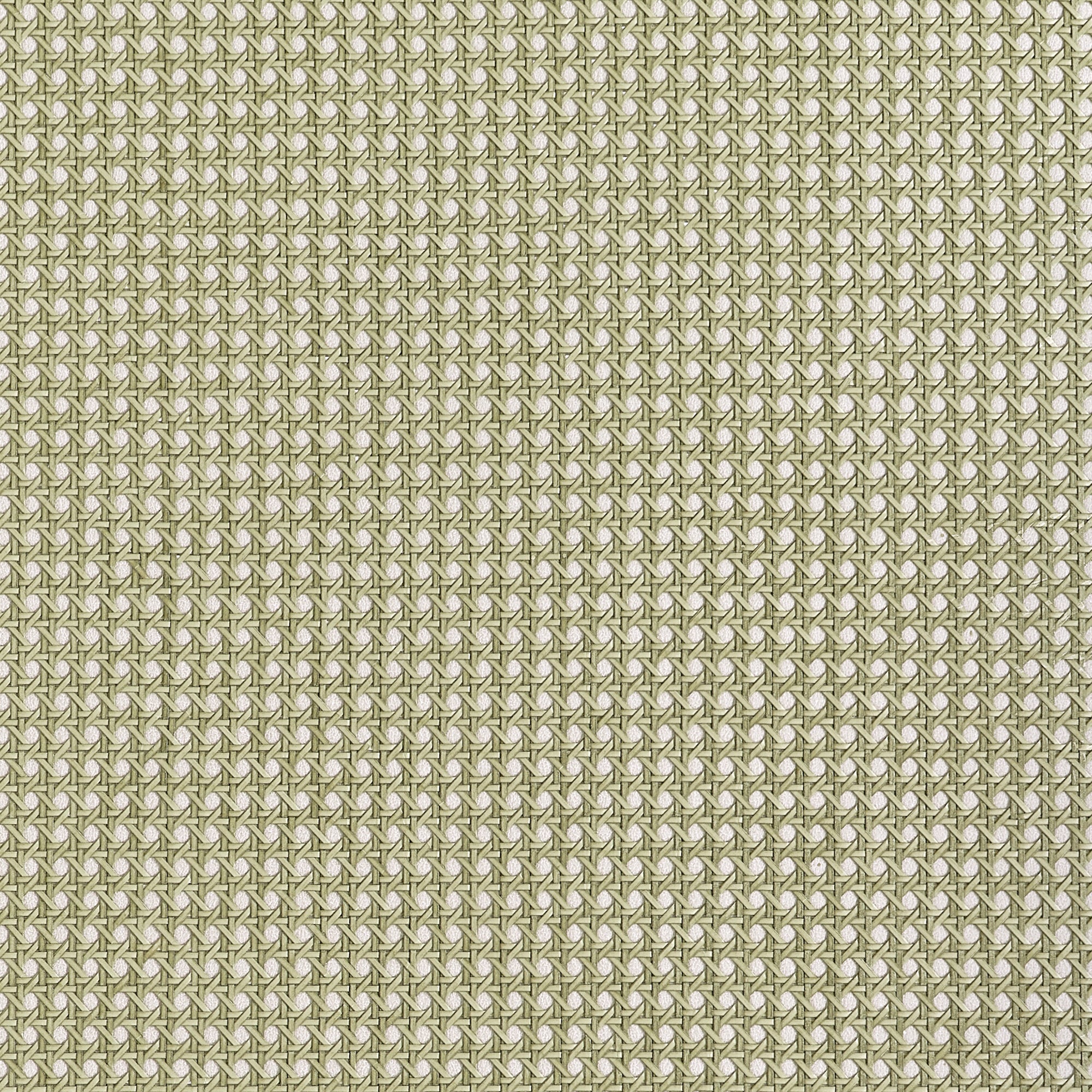 T10391 Paper Rattan Olive Grasscloth Resource 7 Wallpaper by Thibaut