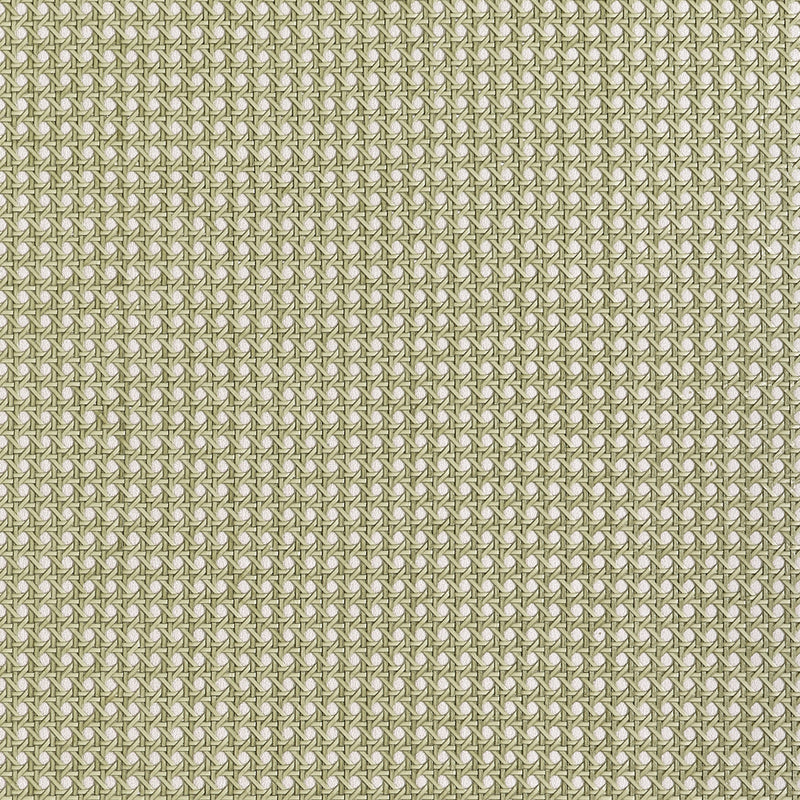 T10391 Paper Rattan Olive Grasscloth Resource 7 Wallpaper by Thibaut