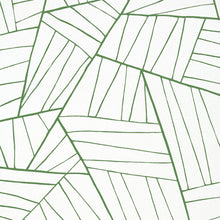 T10442 Jordan Modern Resource 2 Emerald on White Wallpaper by Thibaut