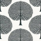T10602 Mulberry Tree Ceylon Black and White Wallpaper by Thibaut