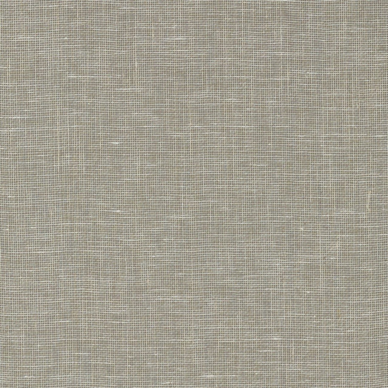 T10853 Villa Garden Texture Heritage Wallpaper by Thibaut