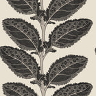T12038 Lacinato Basalt Black Vista Wallpaper by Thibaut