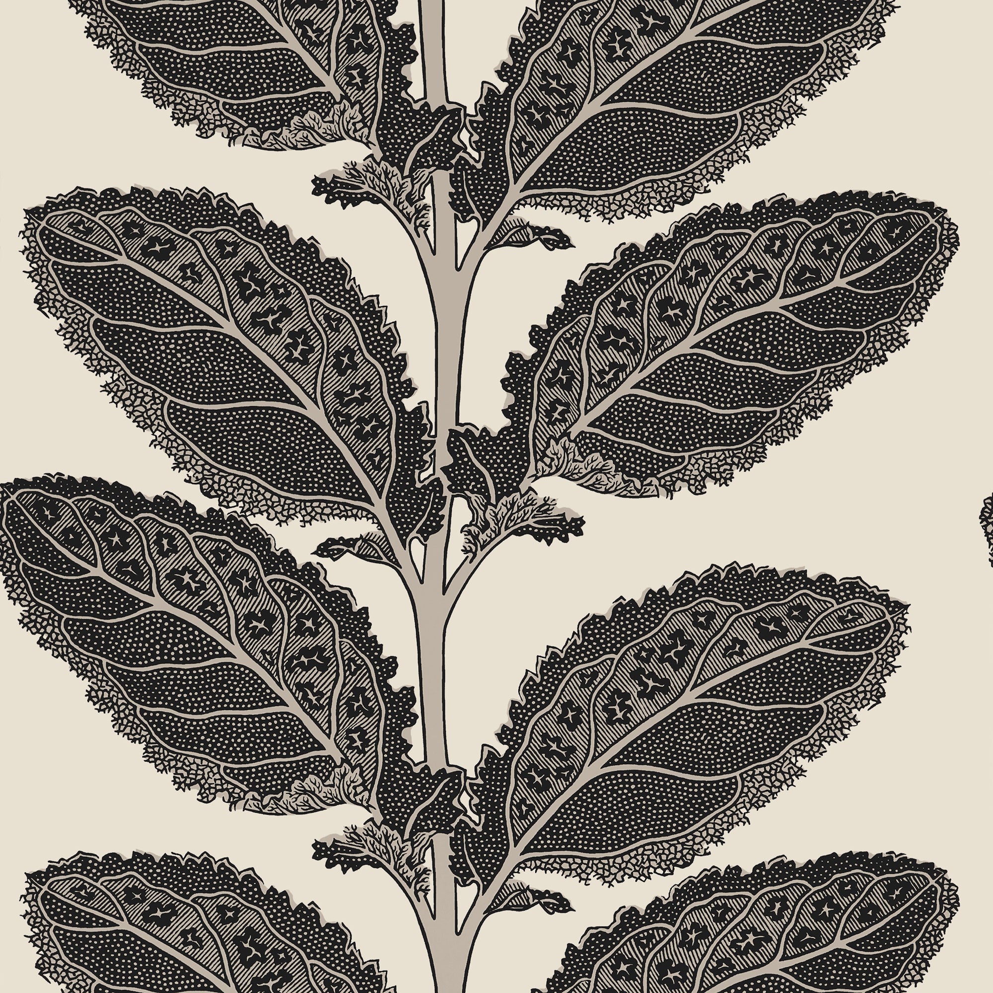 T12038 Lacinato Basalt Black Vista Wallpaper by Thibaut