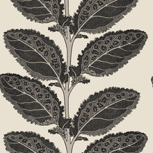 T12038 Lacinato Basalt Black Vista Wallpaper by Thibaut