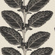 Lacinato Basalt Black Vista Wallpaper by Thibaut