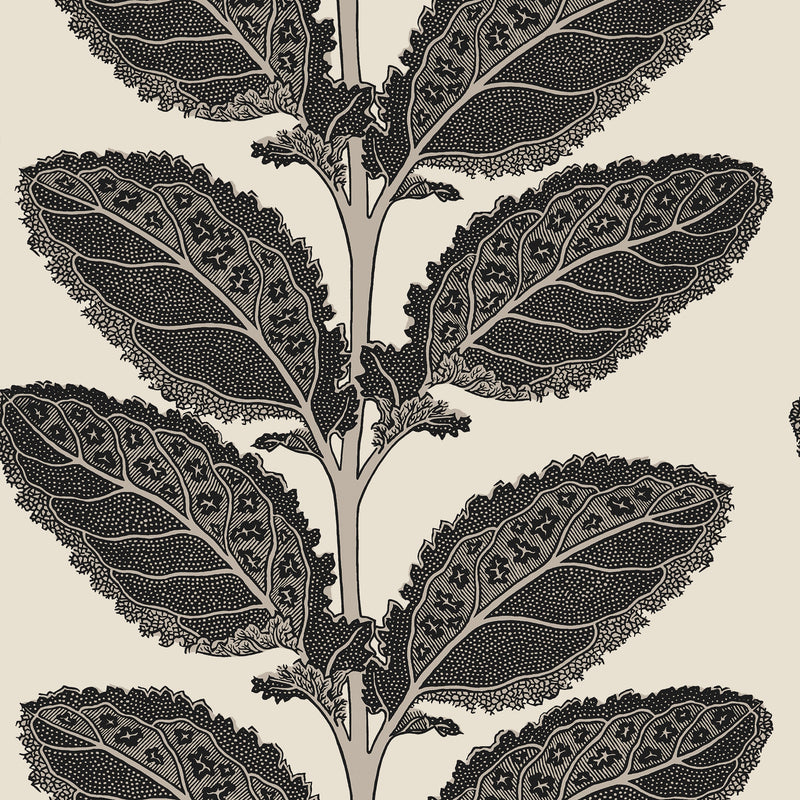 T12038 Lacinato Basalt Black Vista Wallpaper by Thibaut