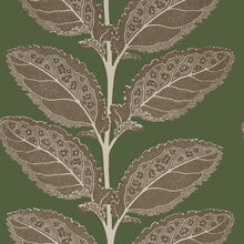 Lacinato Wild Sage Vista Wallpaper by Thibaut