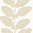 T12041 Lacinato Birch Vista Wallpaper by Thibaut