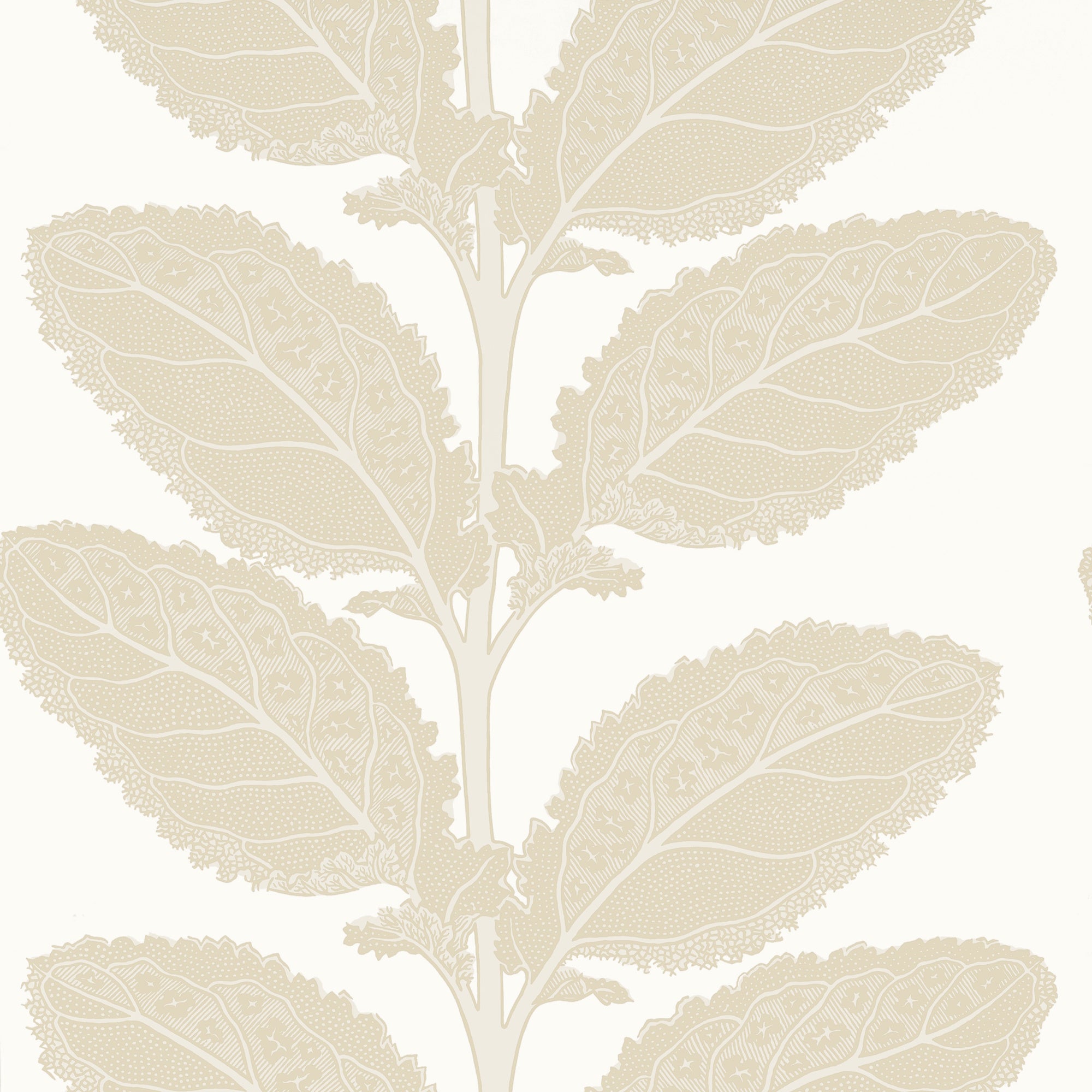 T12041 Lacinato Birch Vista Wallpaper by Thibaut