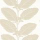 Lacinato Birch Vista Wallpaper by Thibaut