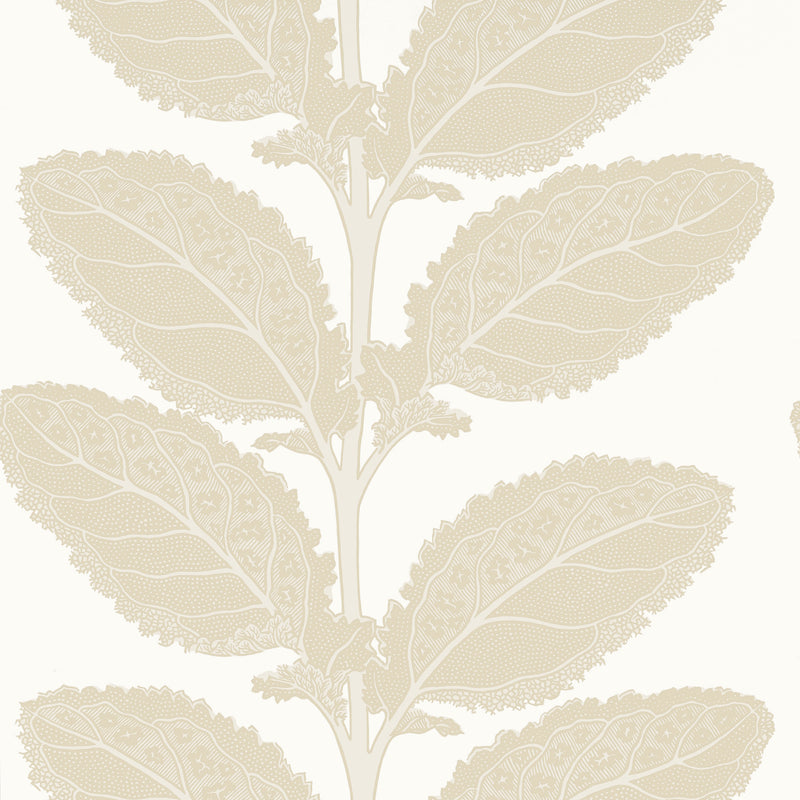 T12041 Lacinato Birch Vista Wallpaper by Thibaut