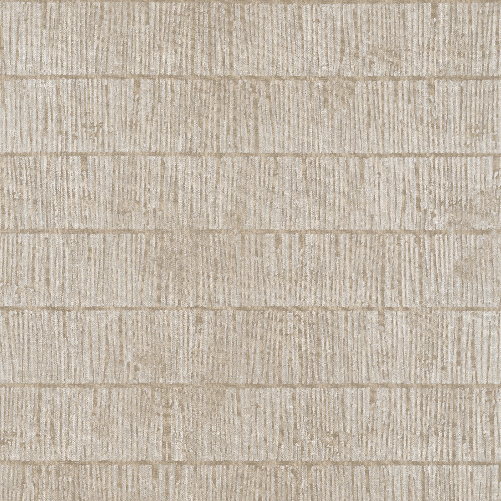 T12053 Tetons Birch Vista Wallpaper by Thibaut