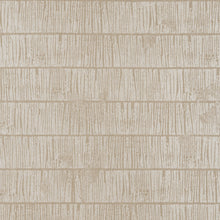 T12053 Tetons Birch Vista Wallpaper by Thibaut