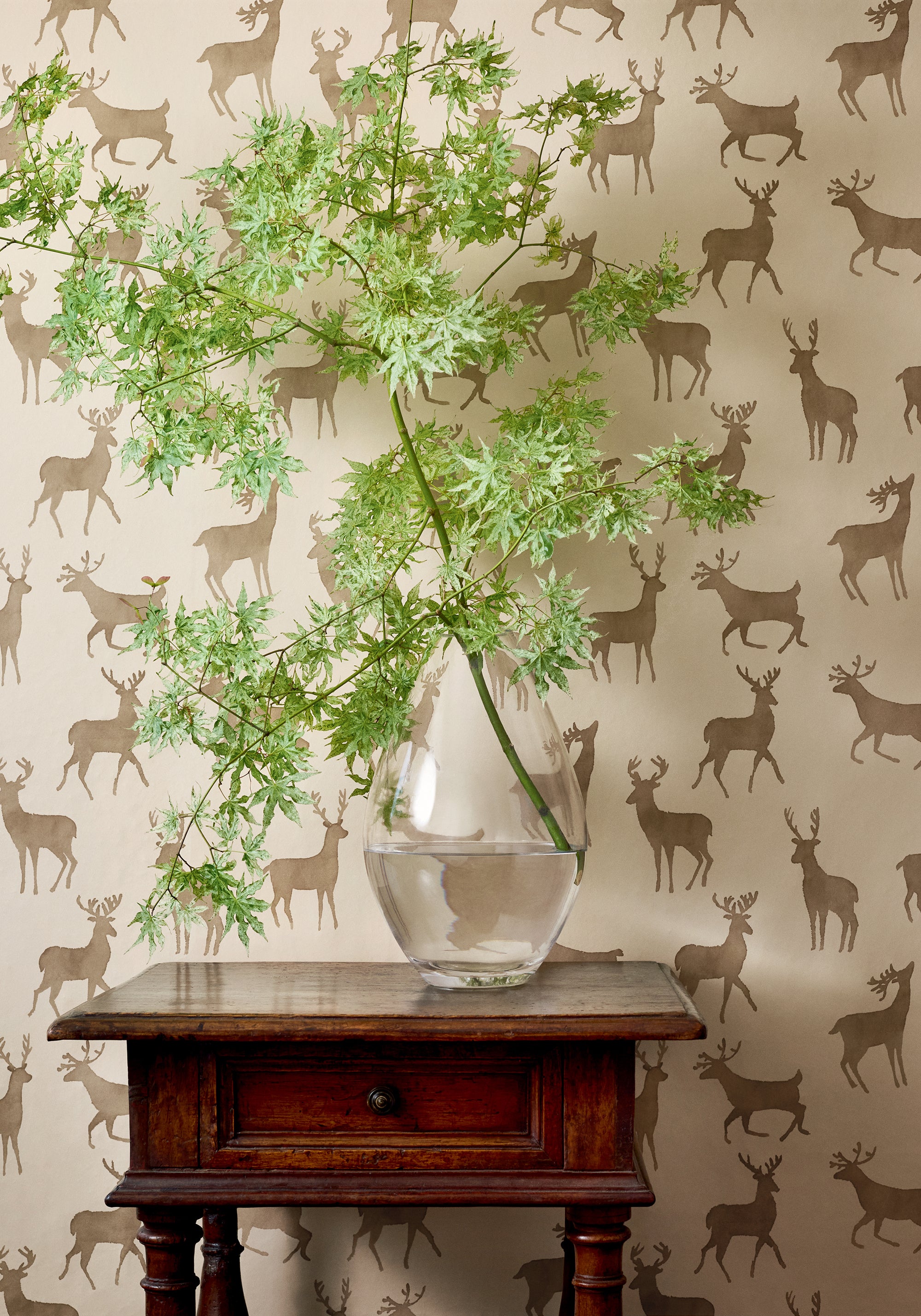 T12063 Bucks Camel Vista Wallpaper by Thibaut