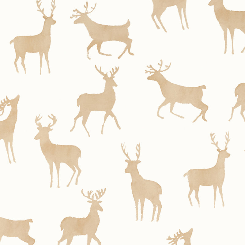 T12065 Bucks Birch Vista Wallpaper by Thibaut