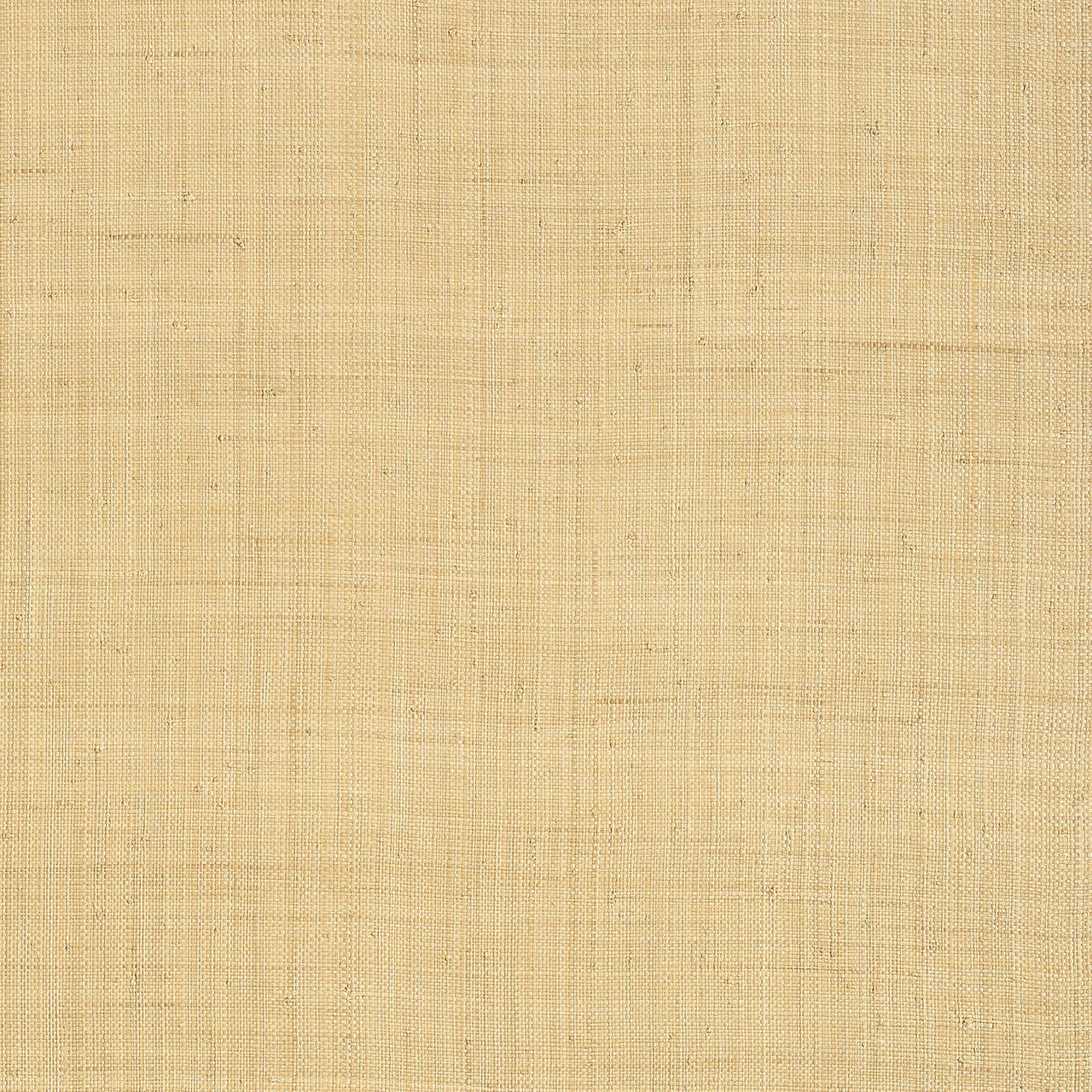 T13040 Carolina Raffia Grasscloth Resource Volume 6 Natural Wallpaper by Thibaut