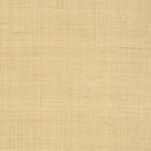 T13040 Carolina Raffia Grasscloth Resource Volume 6 Natural Wallpaper by Thibaut