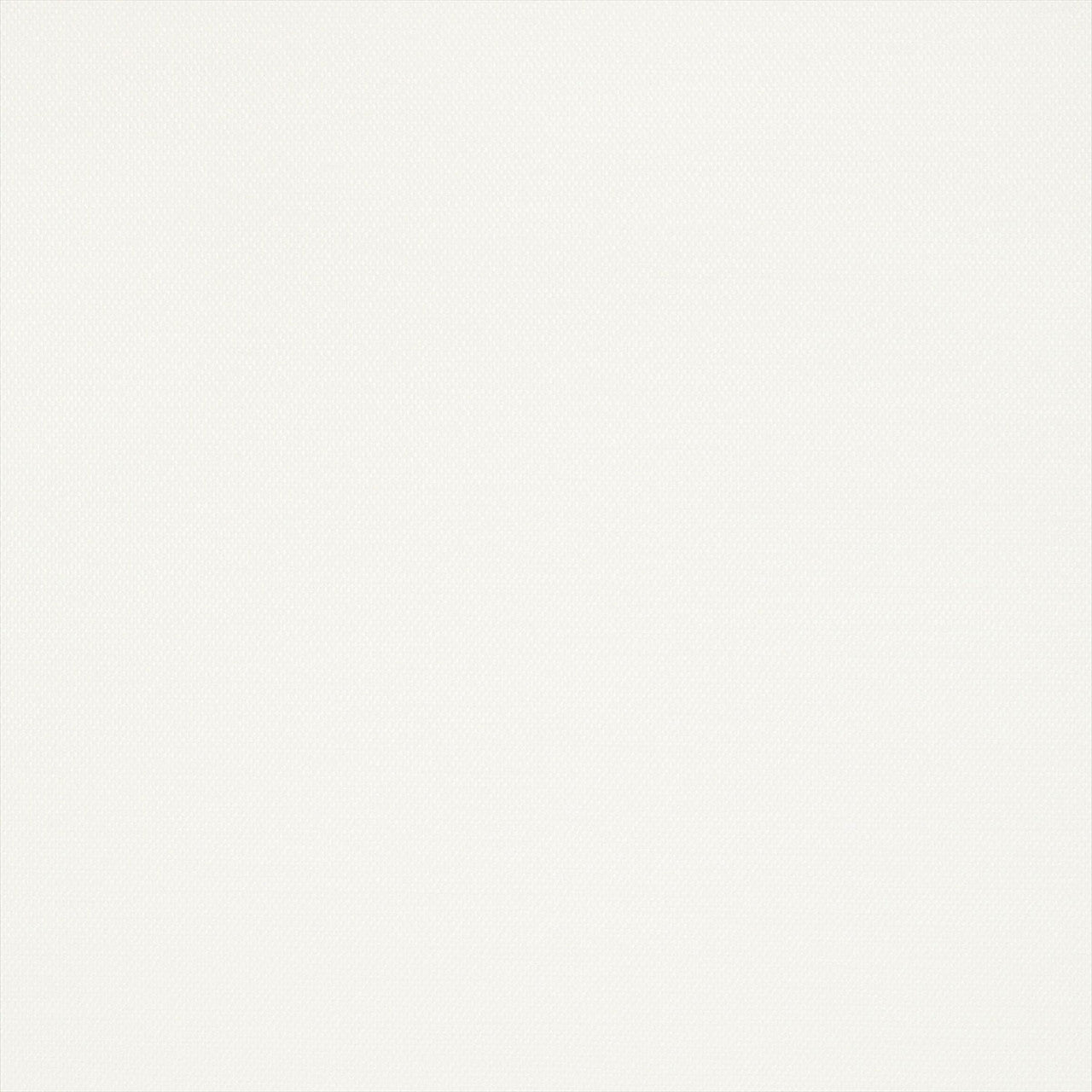 T13112 Surfrider Summer House White Wallpaper by Thibaut