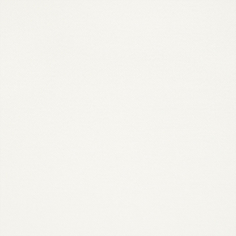 T13112 Surfrider Summer House White Wallpaper by Thibaut