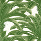 Queen Palm Grove Green Wallpaper by Thibaut