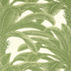Queen Palm Grove Sage Wallpaper by Thibaut