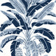 Banana Tree Palm Grove Navy Wallpaper by Thibaut