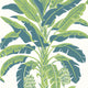 Banana Tree Palm Grove Green and Blue Wallpaper by Thibaut