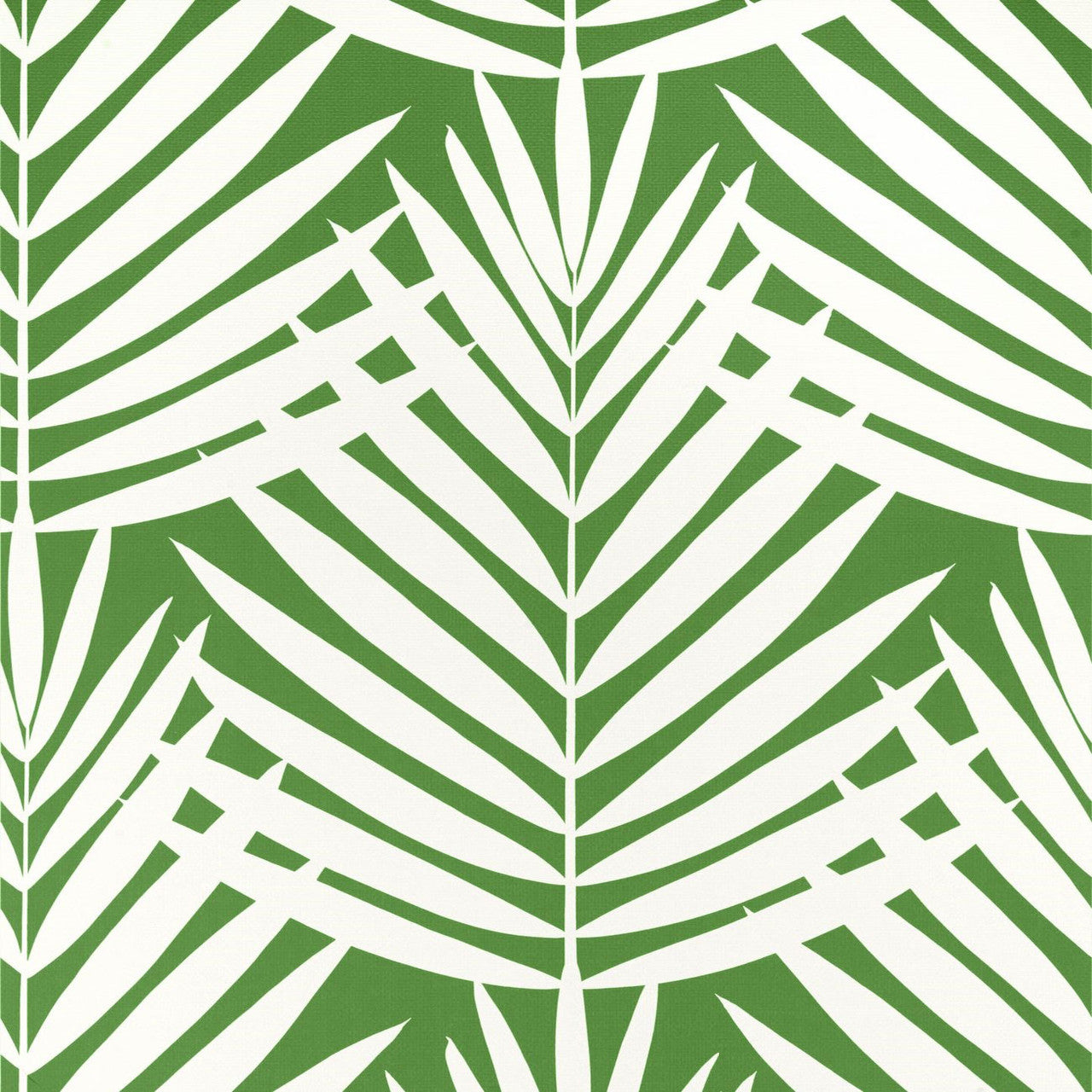 T13933 Croatia Palm Grove Green Wallpaper by Thibaut
