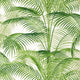 Delray Palm Grove Green Wallpaper by Thibaut