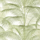 T13939 Delray Palm Grove Sage Wallpaper by Thibaut