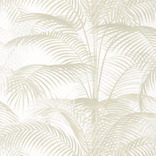 T13941 Delray Palm Grove Pearl Wallpaper by Thibaut